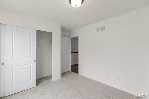 Tiny photo for 113 Day Lily Lane, Wentzville, MO 63385 (MLS # 25069271)