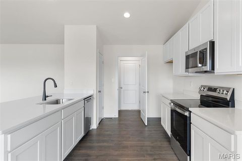 Tiny photo for 113 Day Lily Lane, Wentzville, MO 63385 (MLS # 25069271)