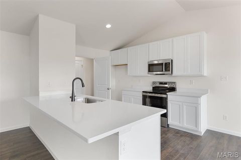Tiny photo for 113 Day Lily Lane, Wentzville, MO 63385 (MLS # 25069271)