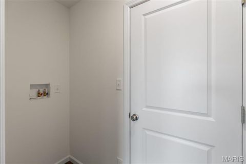 Tiny photo for 113 Day Lily Lane, Wentzville, MO 63385 (MLS # 25069271)