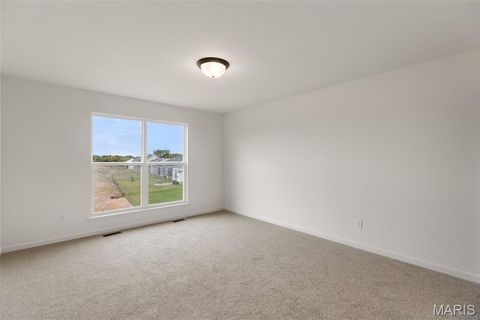 Tiny photo for 113 Day Lily Lane, Wentzville, MO 63385 (MLS # 25069271)