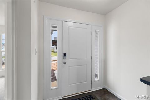Tiny photo for 113 Day Lily Lane, Wentzville, MO 63385 (MLS # 25069271)