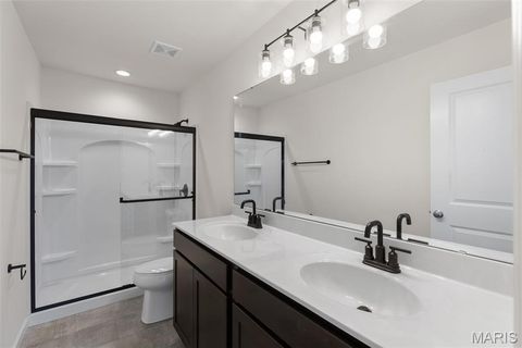 Tiny photo for 113 Day Lily Lane, Wentzville, MO 63385 (MLS # 25069271)