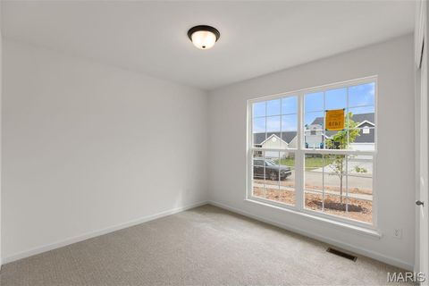 Tiny photo for 113 Day Lily Lane, Wentzville, MO 63385 (MLS # 25069271)