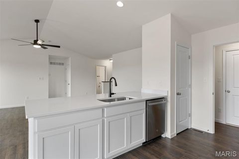 Tiny photo for 113 Day Lily Lane, Wentzville, MO 63385 (MLS # 25069271)