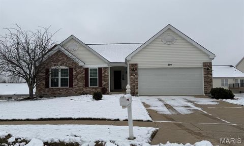 Photo of 110 Matthews Drive, Wentzville, MO 63385 (MLS # 25079449)