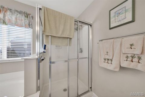 Tiny photo for 110 Matthews Drive, Wentzville, MO 63385 (MLS # 25079449)