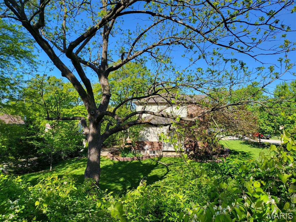 Crabapple Court - Residential