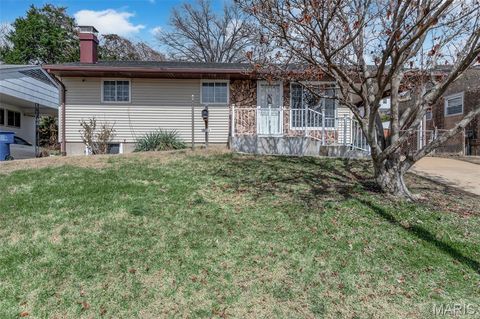 Photo of 3733 Louis Street, St Louis, MO 63116 (MLS # 26016548)