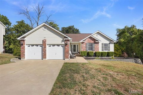 6113 Courtney Way Imperial MO 63052
