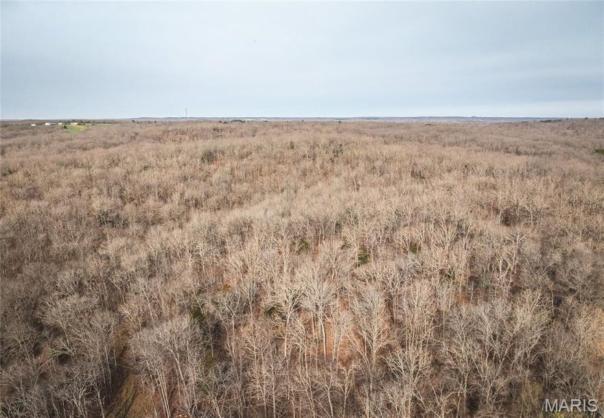 Nestled in the heart of the Ozarks, this beautiful property offers the perfect blend of recreation, relaxation, and natural beauty. Located just minutes from Maramec Spring Park, you’ll have access to some of the finest trout fishing in the state, known for its healthy populations of rainbow and brown trout. Spend your days floating, fishing, or kayaking along the nearby rivers and streams that make this area so desirable. Surrounded by the scenic Ozark foothills, the property sits near Woodson K. Woods Memorial Conservation Area and additional conservation lands, offering endless opportunities for hunting, hiking, and exploring. With close proximity to Mark Twain National Forest, you’ll have access to thousands of acres of public land right at your fingertips. Wildlife is abundant, with whitetail deer and wild turkey frequently seen roaming the area, making this an ideal setup for hunters or nature enthusiasts alike. The property features reasonable restrictions in place to help protect your investment while still allowing flexibility for your dream home or getaway. Conveniently located near the charming town of St. James—known for its wineries and small-town charm—and just a short drive to Steelville, often referred to as Missouri’s floating capital, you’ll enjoy both tranquility and accessibility. Whether you’re looking to build, invest, or simply escape, this property offers a rare opportunity to own a slice of the Ozarks in a truly sought-after location.
