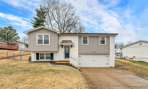 Photo of 1360 Premio Drive, Fenton, MO 63026 (MLS # 26010727)