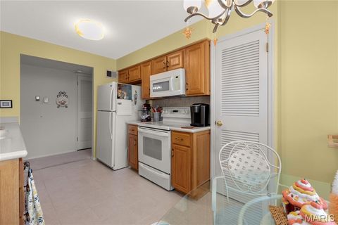 Tiny photo for 1530 Bedford Forge Court #15, Chesterfield, MO 63017 (MLS # 25070091)