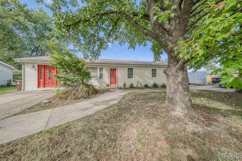 533 Walters Street St James MO 65559
