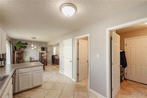 Tiny photo for 2007 Ella Drive #2161B, Wentzville, MO 63385 (MLS # 26017763)