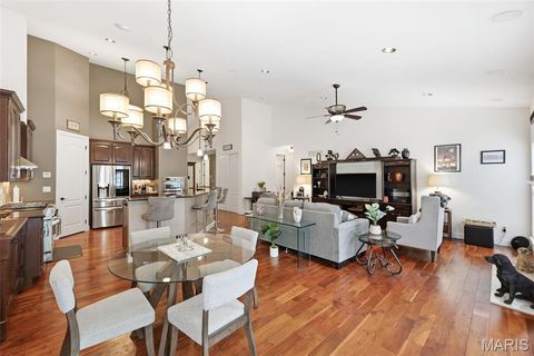 Tiny photo for 14305 Gatwick Court, Chesterfield, MO 63017 (MLS # 26029206)