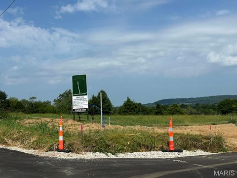 667 highlands Road Pacific MO 63069