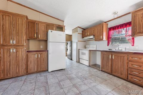 Tiny photo for 412 Penrod Road, Troy, MO 63379 (MLS # 25050268)