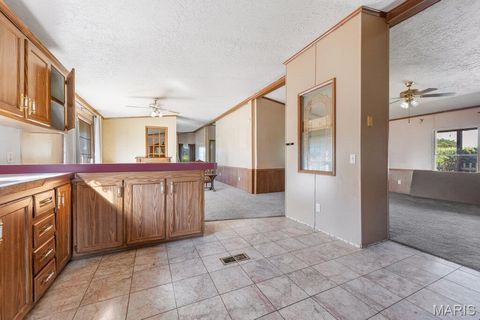 Tiny photo for 412 Penrod Road, Troy, MO 63379 (MLS # 25050268)