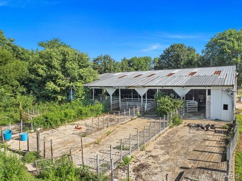 Tiny photo for 412 Penrod Road, Troy, MO 63379 (MLS # 25050268)