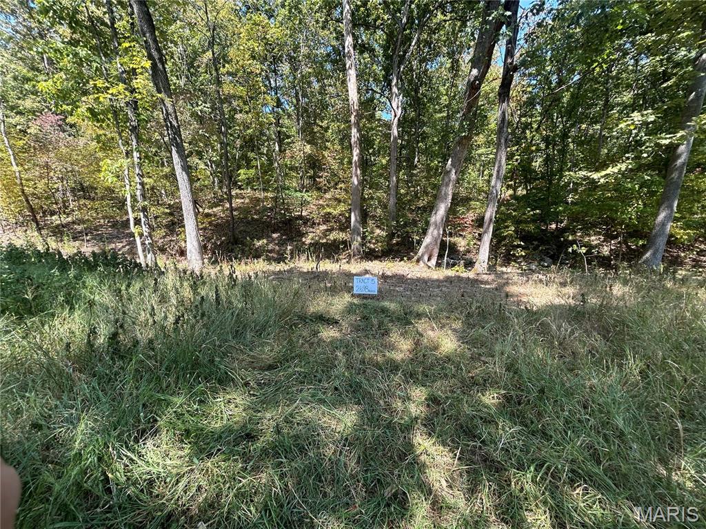 2000 Lot 5 Crossroads Road