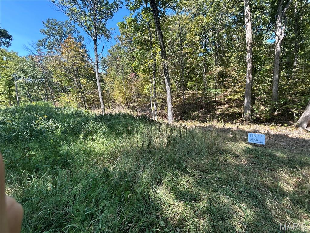2000 Lot 5 Crossroads Road