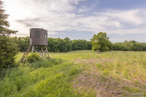 Tiny photo for 24443 Audrain Road 364, Mexico, MO 65265 (MLS # 26031423)