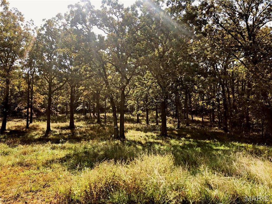 Great development opportunity. Three parcels consisting of 2.61 acres m/l partially cleared and ready for your project.  Whether building a multi family development, a few spec homes, your dream home or a use this location is outstanding. Lots of road frontage on two sides gives the owner options for entry or sell off a portion. Utilities near by. Site has some nice trees adoring the lot. Lots of this size so close to town are hard to find act soon!