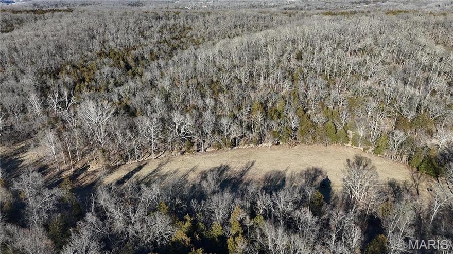 Welcome to lot 5! This 10.88-acre lot, located in the highly sought-after Festus School District, offers the perfect combination of privacy, natural beauty, and endless potential. The property features a mix of wooded areas and cleared land, making it ideal for hunters, outdoor enthusiasts, or those looking to build their dream home in a serene setting. Whether you’re seeking a peaceful retreat, a recreational haven, or a place to create your forever home, this land is ready for your vision. Bring your builder and your plans to take full advantage of this incredible space. This lot is not in a flood zone and Ameren is to install the electric.