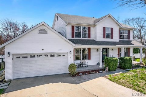 7 Morning Mist Court St Peters MO 63376