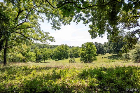 Tiny photo for 160 Hickory Lane, Eolia, MO 63344 (MLS # 26050586)