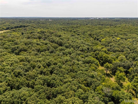 Tiny photo for 160 Hickory Lane, Eolia, MO 63344 (MLS # 26050586)