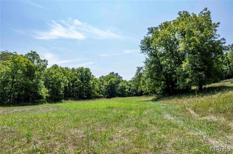 Tiny photo for 160 Hickory Lane, Eolia, MO 63344 (MLS # 26050586)