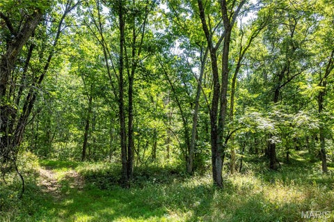 Tiny photo for 160 Hickory Lane, Eolia, MO 63344 (MLS # 26050586)