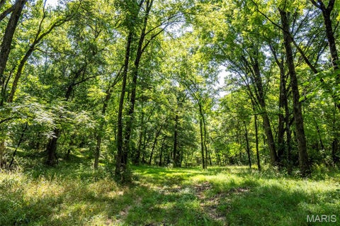 Tiny photo for 160 Hickory Lane, Eolia, MO 63344 (MLS # 26050586)