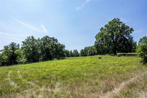 Tiny photo for 160 Hickory Lane, Eolia, MO 63344 (MLS # 26050586)