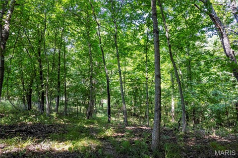 Tiny photo for 160 Hickory Lane, Eolia, MO 63344 (MLS # 26050586)