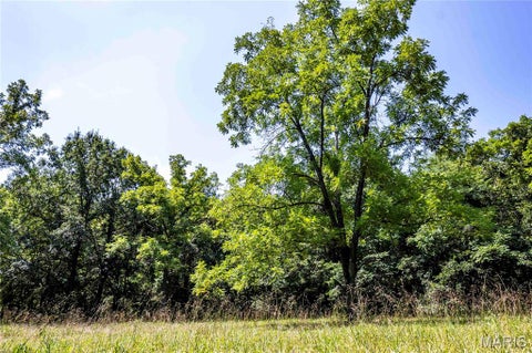 Tiny photo for 160 Hickory Lane, Eolia, MO 63344 (MLS # 26050586)