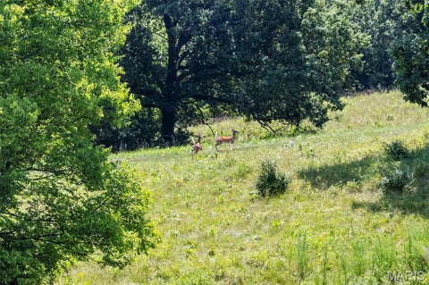 Tiny photo for 160 Hickory Lane, Eolia, MO 63344 (MLS # 26050586)