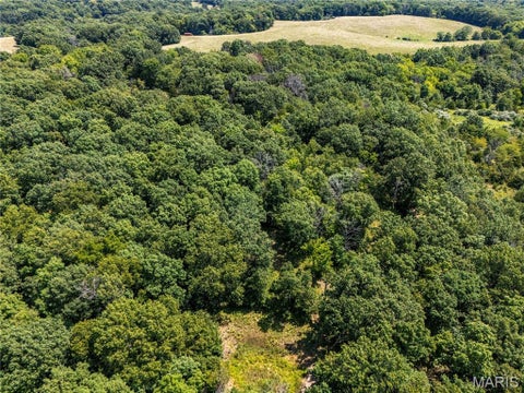 Tiny photo for 160 Hickory Lane, Eolia, MO 63344 (MLS # 26050586)