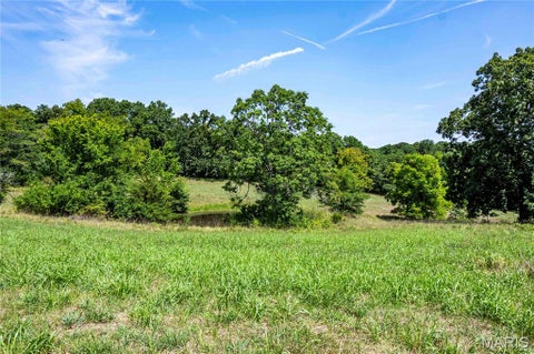 Tiny photo for 160 Hickory Lane, Eolia, MO 63344 (MLS # 26050586)