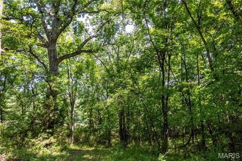 Tiny photo for 160 Hickory Lane, Eolia, MO 63344 (MLS # 26050586)