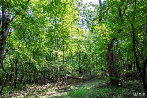 Tiny photo for 160 Hickory Lane, Eolia, MO 63344 (MLS # 26050586)