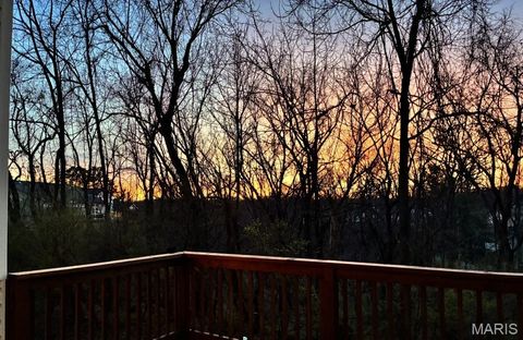 Tiny photo for 325 Fox Village Court, Ballwin, MO 63021 (MLS # 26017044)