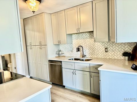 Tiny photo for 325 Fox Village Court, Ballwin, MO 63021 (MLS # 26017044)