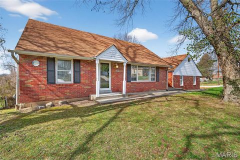 Photo of 6009 Bermuda Drive, St Louis, MO 63135 (MLS # 26016782)