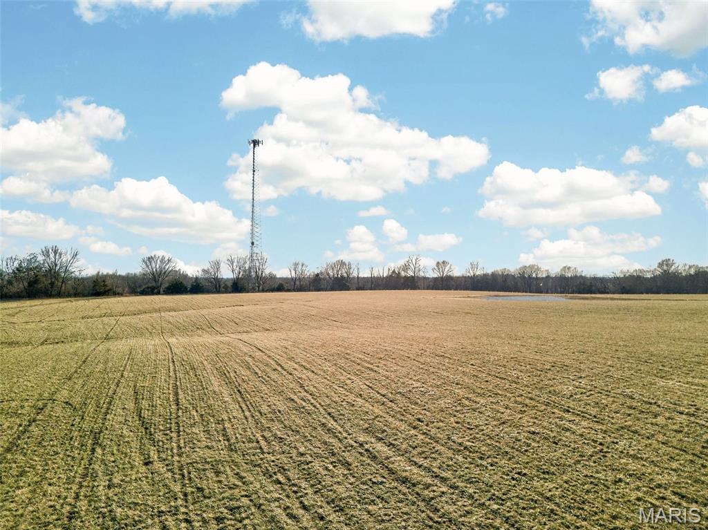 Cheatham Farm Estates - Land