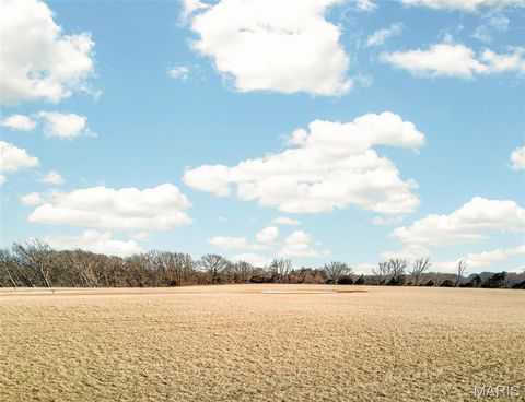 Tiny photo for Troy, MO 63379 (MLS # 26018377)