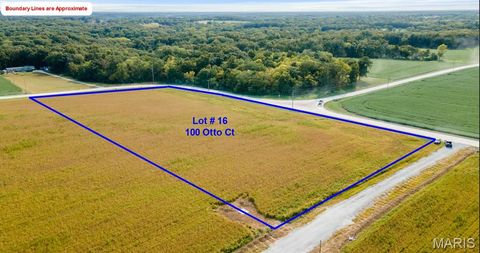 Photo of 100 Otto Court, Silex, MO 63377 (MLS # 26020413)