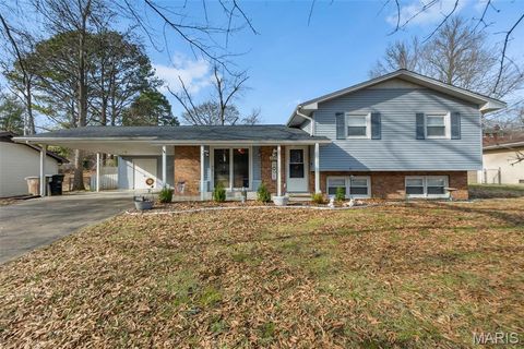 2231 Sherwood Drive Cape Girardeau MO 63701